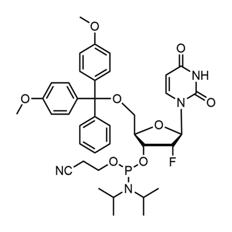 2'-F-dU fosforamidiitti