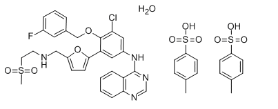 Lapatinibiditosylaattimonohydraatti